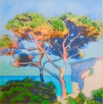 Mediterranean Pine