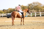 SBM_009166