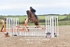 BPP_1347