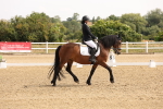 SBM_005383