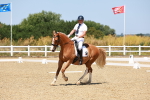 SBM_010783
