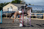 Junior Showjumping_10-11-2019-32