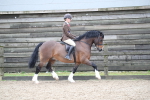 SBM_007058