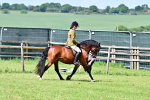 SBM_07963