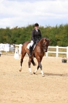 SBM_011883
