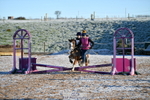 231202A-104147-00368