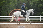 260829B-115954-00631