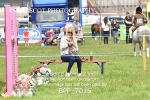 BPP_7016