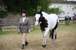 WJ6_8025