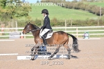 BPP_8338