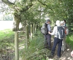 071  Regrouping near Maud's Farm