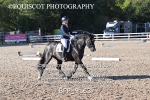 BPP_9163