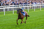 220826-Race 1-Archivist-0235