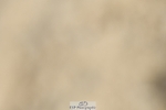 230623-143037-01001