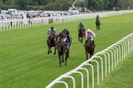 190826-Race 3-Maltese Cross-0311