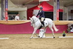 SBM_09268