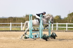 SBM_03346