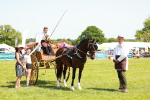 SBM_06697