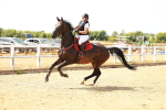 SBM_003334