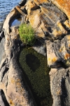 GeorgianBay11-014