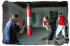 Basin Amateur Boxing Club 3