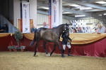 SBM_14939