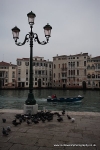 _P5L4230Venice 2011