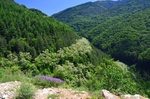 Gotse Delchev to Melnik, Blagoevgrad Province, Bulgaria