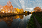 Between Bridges 76 and 77, Macclesfield Canal (1)
