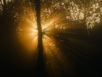 Landscape portfolio
