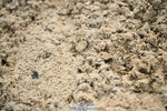 251004A-130336-01112