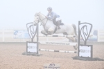 Cls 20 Pony Foxhunter and 1.10m portfolio