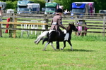 SBM_03700