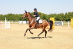 SBM_001637