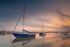 Boats in Skerries Harbour, 02.08.2019