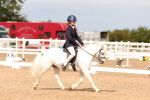 SBM_02654