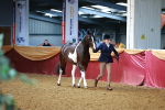 SBM_17276