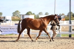 SBM_08443