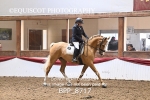 BPP_8717