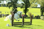 SBM_39174