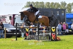 BPP_8931