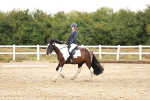 SBM_001505