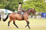 SBM_10974