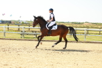 SBM_000205