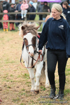 SHETPR 210425 22
