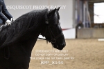 BPP_8144