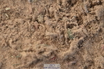 231015A-133740-08377