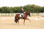 SBM_005250