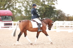 SBM_04009