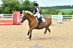 Showjumping Competition portfolio